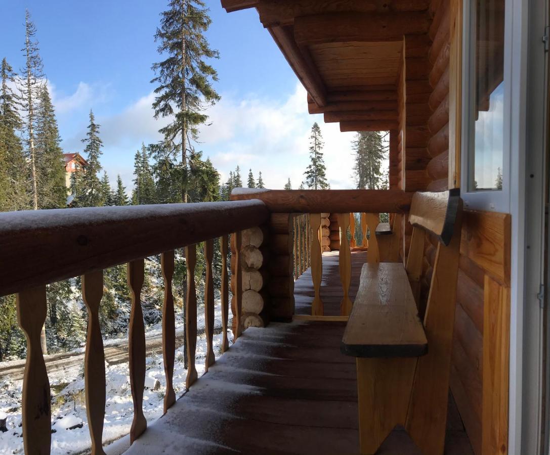 Alpin Eco Chalet & Wellness Dragobrat Extérieur photo
